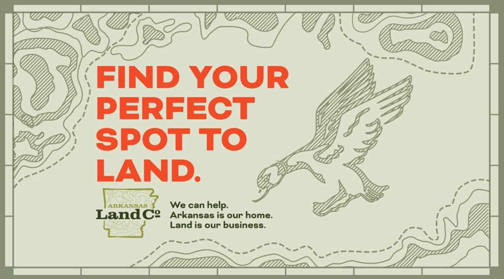 Perfect Spot to Land